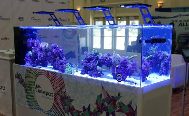 Gyre 200 séries - Maxspect